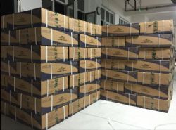 �_ʩ�ʴ����͑����ư滯�W�ϳɛ_ʩ��